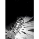 Novidade 2 em 1: Umidificador Inteligente e Luminária de CRISTAL GRANDE 400ml-